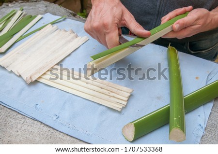 Papyrus artisan in Syracuse cutting the stem of a papyrus plant to obtain thin strips