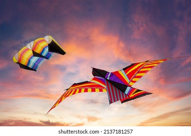 Parachute Eagle Bird Kites Flying Beautiful Stock Photo 2137181257