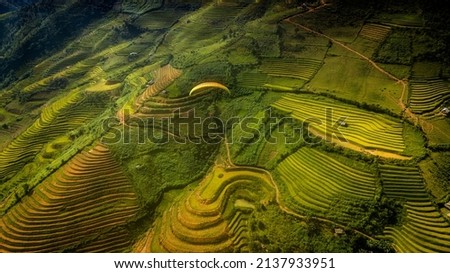 Parachute jumpers perform during the Paragliding festival. The annual paragliding festival is held in Mu Cang Chai, Vietnam. Aerial top view of paddy rice terraces.