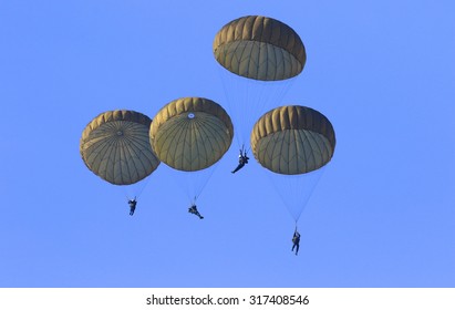 Parachute trooper - Shutterstock ID 317408546