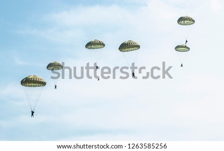 Parachutists jump from a military plane during a military exercise. Many soldiers with parachutes in the sky.