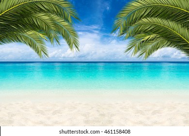 Paradise Beach Background Coco Palms Stock Photo 461158408 | Shutterstock