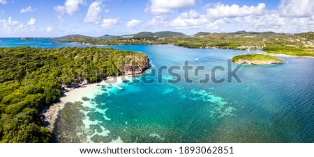 Paradise beach and bay in Carribean archipelago in Antilles with transparent turquoise sea water and coral reefs. Aerial drone panorama of coast white sand and green forest, summer holidays vacation