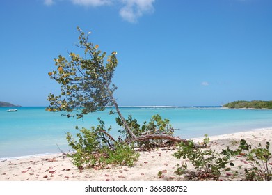 Paradise Beach, Carriacou, Grenada