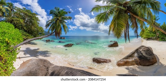 Paradise beach with coco palms and tropical sea. Panoramic view. 