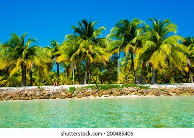 Paradise Beach On Beautiful Island South Water Caye