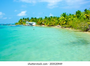 Paradise Beach On Beautiful Island South Water Caye