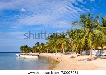 Paradise beach in Sri Lanka. Beach with small fisher boats, white sand and palm trees with blue sky. Beautiful beach in Pasikuda, Sri Lanka.