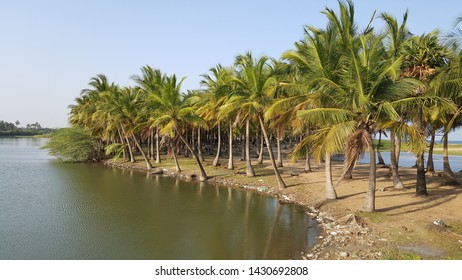 Paradise Beach View In Pondicherry