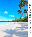 Paradise beach with white sand and coco palms. Summer vacation and summer holiday concept.