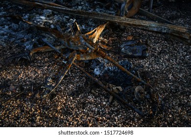 Paradise, CA/ United States- March 1, 2019: Melted Bicycle In Paradise California After The Camp Fire That Occurred In November 2018. 