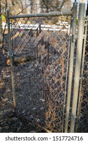 Paradise, CA/ United States- March 1, 2019: Melted Fence In Paradise California After The Camp Fire That Occurred In November 2018