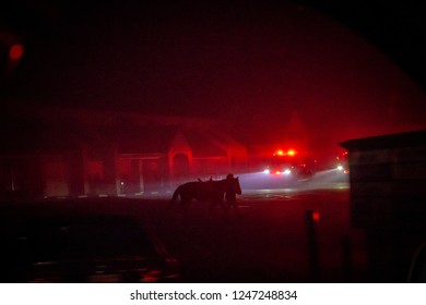 Paradise, California / USA - November 8th 2018: First Responders Evacuate Horses As Wildfire Devastates Town. Taken On Skyway Facing Holiday Market