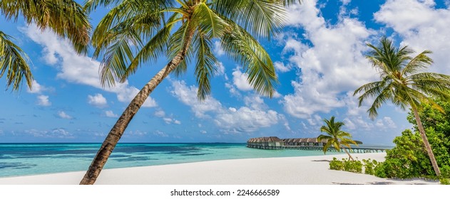 Paradise island beach. Tropical landscape of tranquil summer sea sand sky palm trees. Luxury travel vacation destination. Exotic beach landscape. Amazing nature, relax, freedom nature concept Maldives - Shutterstock ID 2246666589