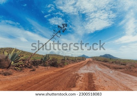 paradise landscape of a hiking road with puddles and agaves on the roadside, mountains in the background and a turquoise blue sky with clouds. Heaven and earth, paradise, climate change.
