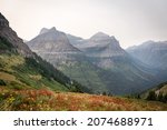 Paradise Meadow in Glacier National Park