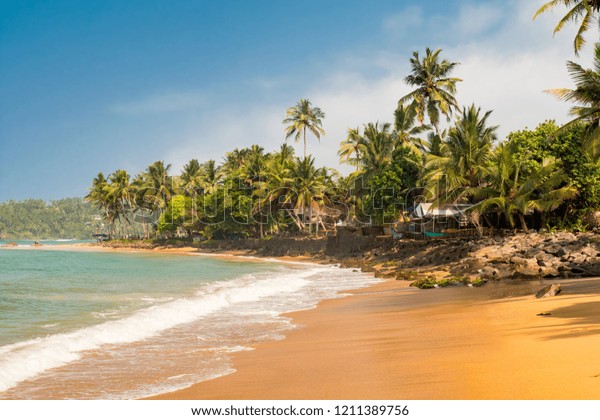 Paradise Mirissa Beach Sri Lanka Yellow Stock Photo Edit