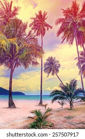 Paradise Nature, Palm Tree On The Tropical Beach. Summer Travel Background With Retro Vintage Instagram Filter.