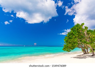 Paradise nature, sea on a tropical beach with green tree