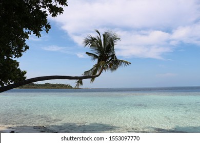 A paradise on earth the Maldives
