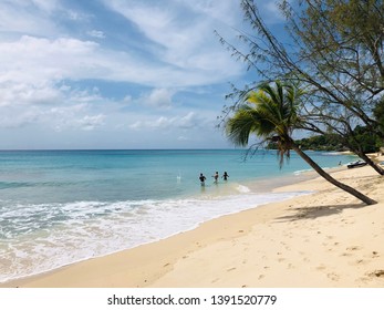 Paradise On The Platinum Coast, Barbados