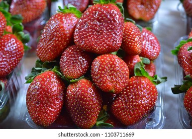  Paradise of ripe strawberry