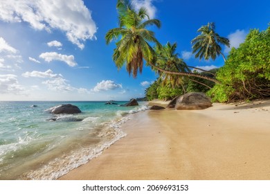 Paradise Sunny beach with coco palms on sandy beach and blue sea.  Summer vacation and tropical beach concept.   - Powered by Shutterstock