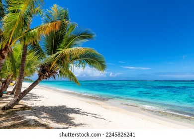 Paradise Sunny beach with palms and tropical sea.  Summer vacation and tropical beach concept. - Shutterstock ID 2245826241