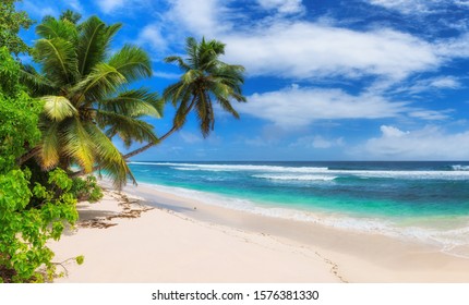 Paradise Sunny beach with palms and turquoise sea.  Summer vacation and tropical beach concept.  