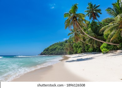 Paradise Sunny beach with white sand, coco palms and turquoise sea in tropical island.  Summer vacation and tropical beach concept.  