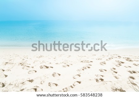 Paradise Tropical beach background / summer day