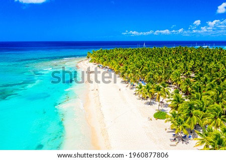 Paradise tropical island nature background. Top aerial drone view of beautiful beach with turquoise sea water and palm trees. Saona island, Dominican republic