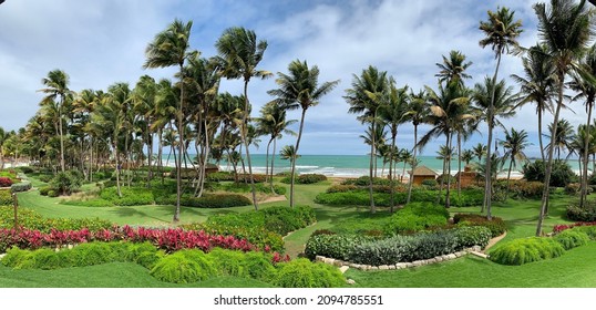 Paradise View - St. Regis Bahia Beach Resort, Puerto Rico