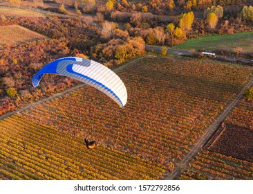 Paraglider Flying Above Autumn Colored Grape Field Near To Eger, Famous Hungarian Vine Region.