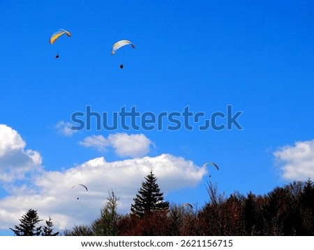 Paraglider flying above the trees in the Vosges mountains