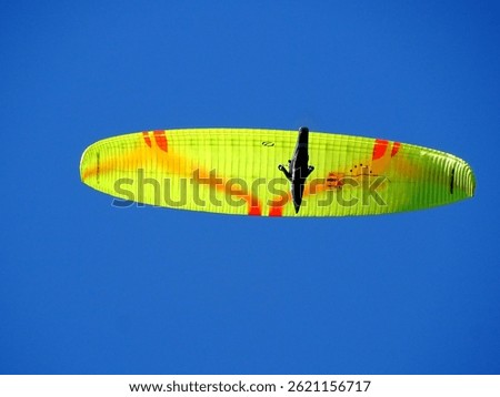 Paraglider flying above the trees in the Vosges mountains