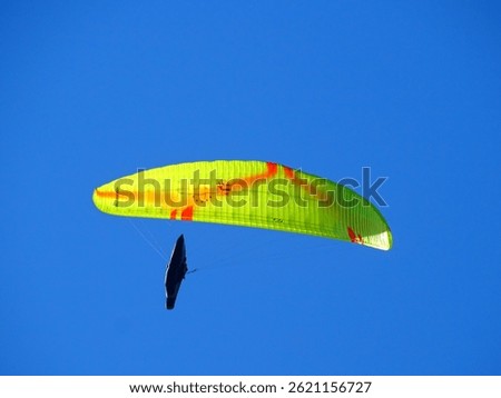 Paraglider flying above the trees in the Vosges mountains