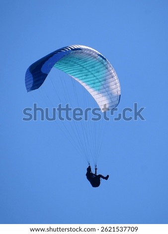 Paraglider flying above the trees in the Vosges mountains