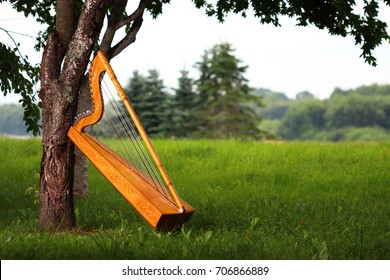 Paraguayan Harp