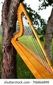 Paraguayan Harp