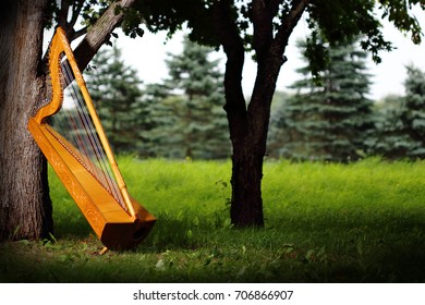 Paraguayan Harp