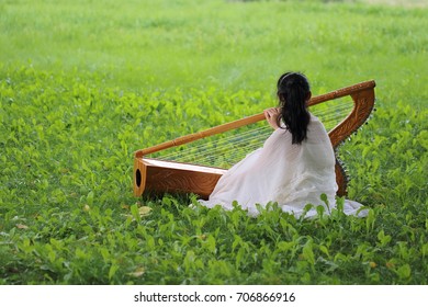 Paraguayan Harp