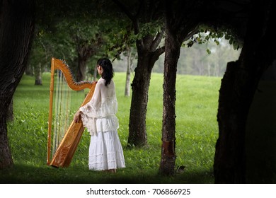 Paraguayan Harp