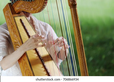 Paraguayan Harp