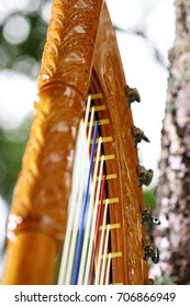 Paraguayan Harp