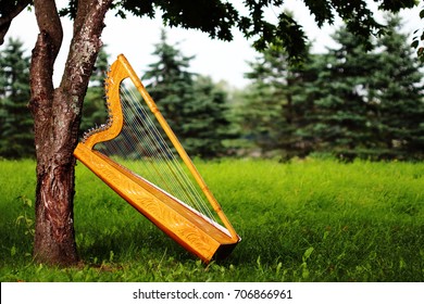 Paraguayan Harp
