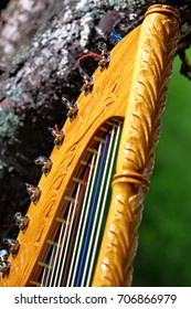 Paraguayan Harp