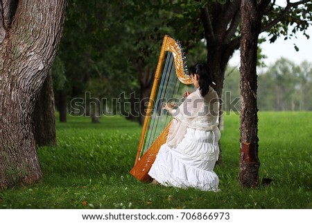 Paraguayan harp
