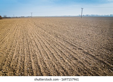 Parallel lines of a plowed and sown field under blue sky in the autumn. Agricultural concept