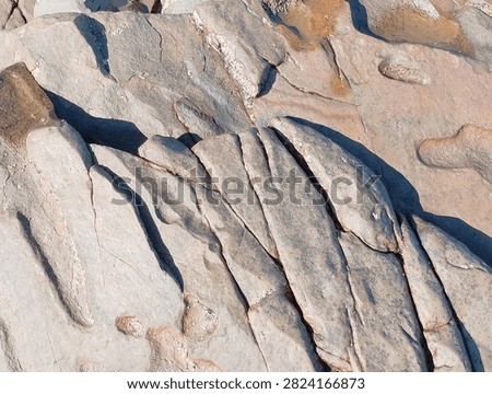 Parallel Rock Cracks Separating Slanted Stone Slabs
​A close-up top-down capture of structured coastal bedrock divided by clean, precise diagonal fissures under bright daylight